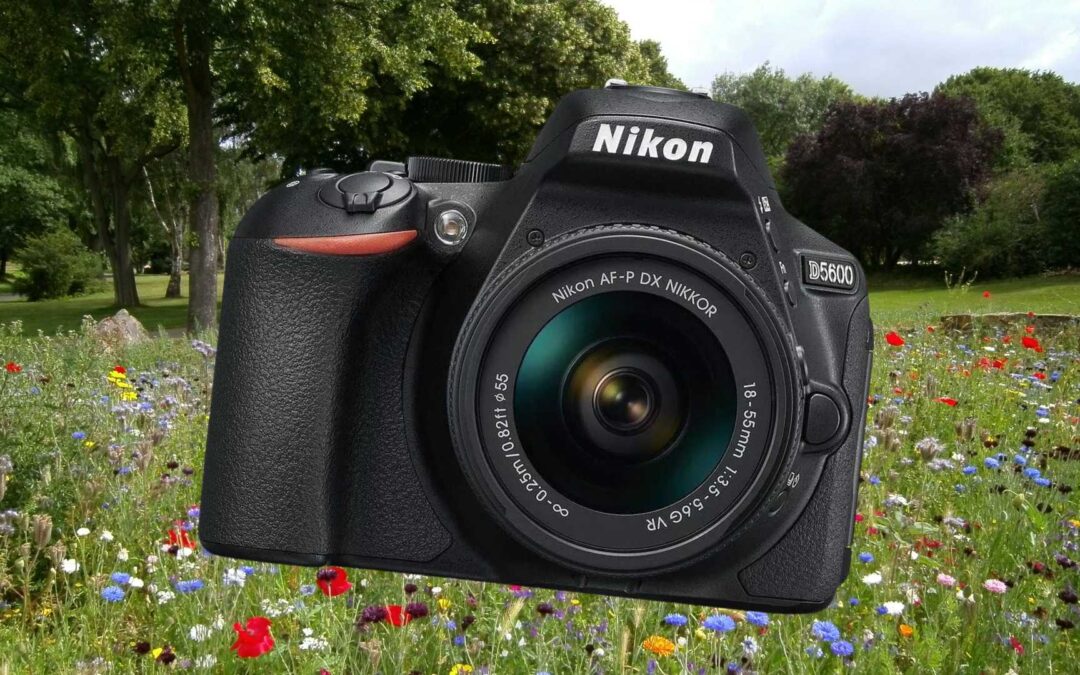 Compré una cámara Nikon D5600