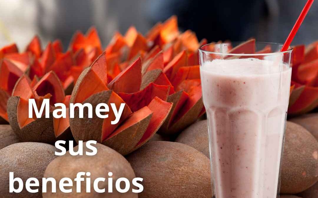 Mamey sus beneficios