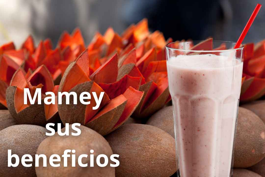 Mamey sus beneficios