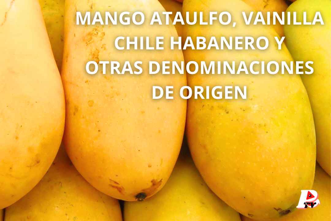 Mango ataulfo vainilla Chiles habaneros sus beneficios para la salud. pachecotv.com