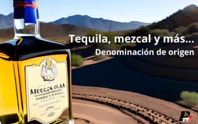 Tequila mezcal denominación de origen