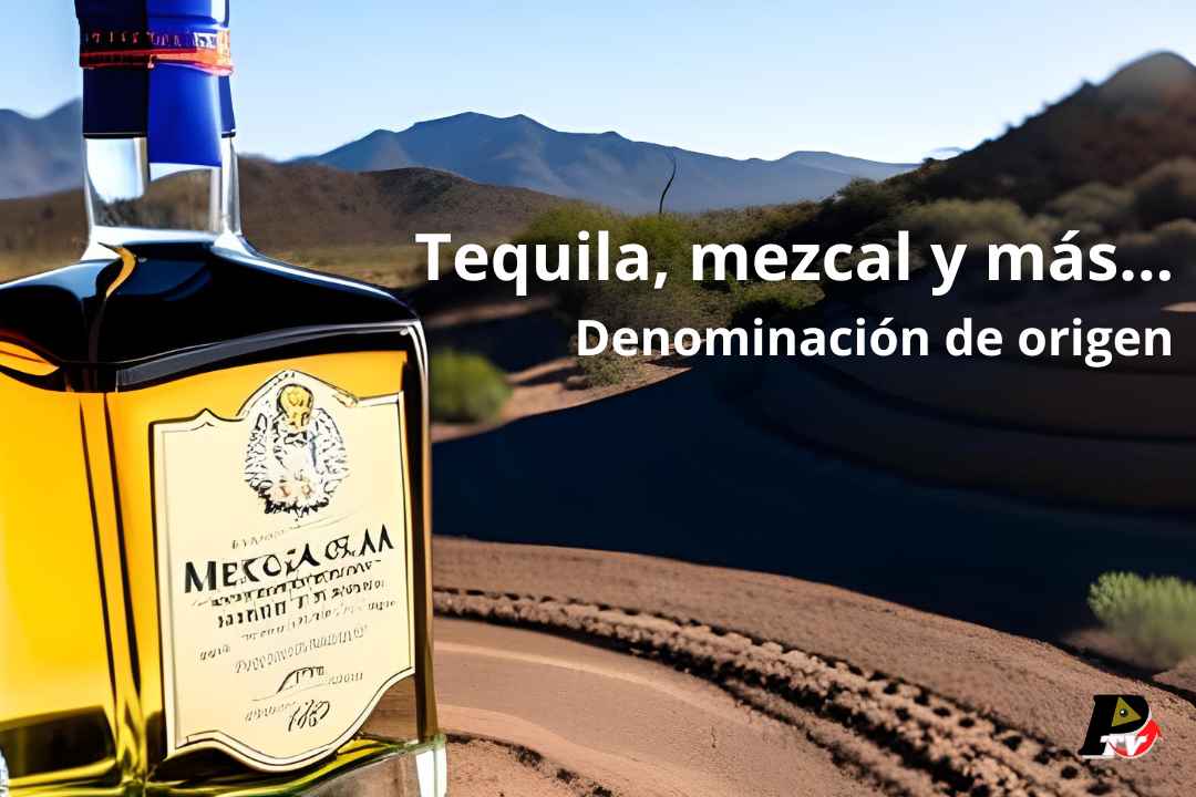 Tequila denominación de origen pachecotv.com